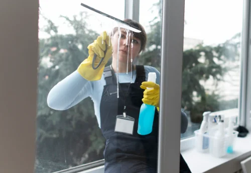 Nettoyage de vitres intérieures et extérieures à Wadelincourt